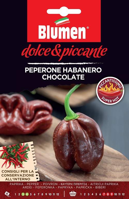 Habanero Chocolate Πιπεράκι Σοκολατί Super Hot