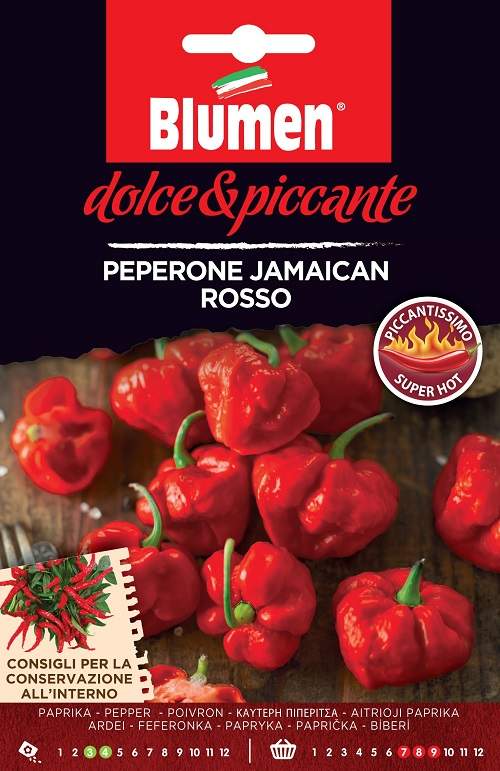 Jamaican Rosso Καυτερή Πιπεριά