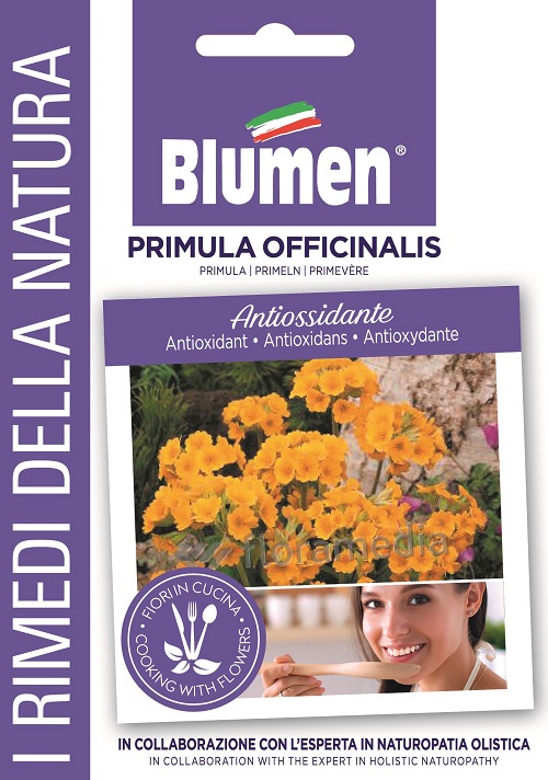 Primula – Ηράνθεμο (Πρίμουλα) Βρώσιμα Λουλούδια