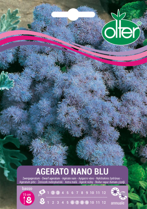 Αγήρατο Nano Μπλε – Agerato nano blu