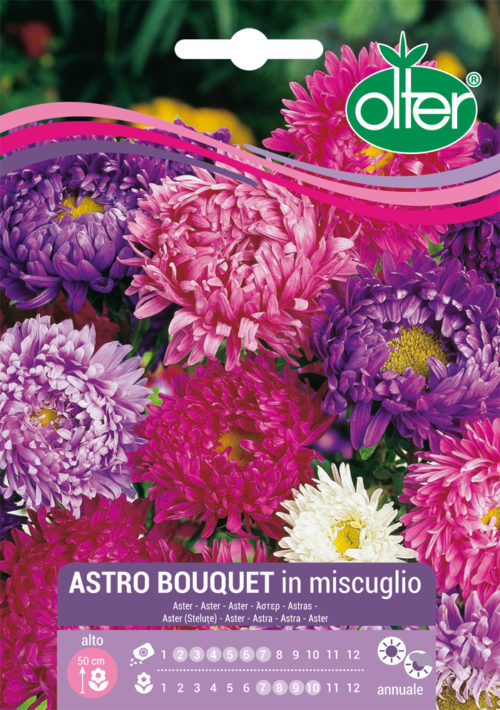Άστρο Μπουκέτο – Astro bouquet