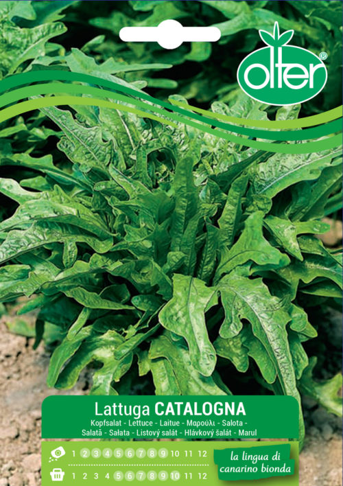 Catalogna Verde