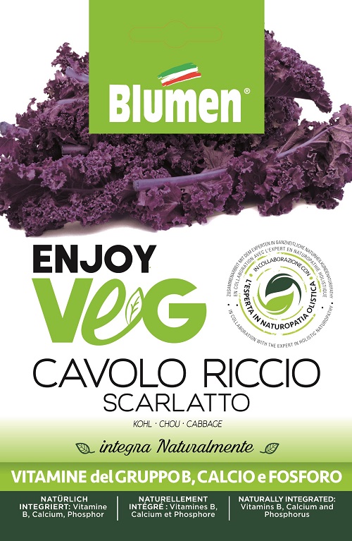 Λάχανο Σγουρό Κόκκινο – Cavolo Riccio Scarlatto