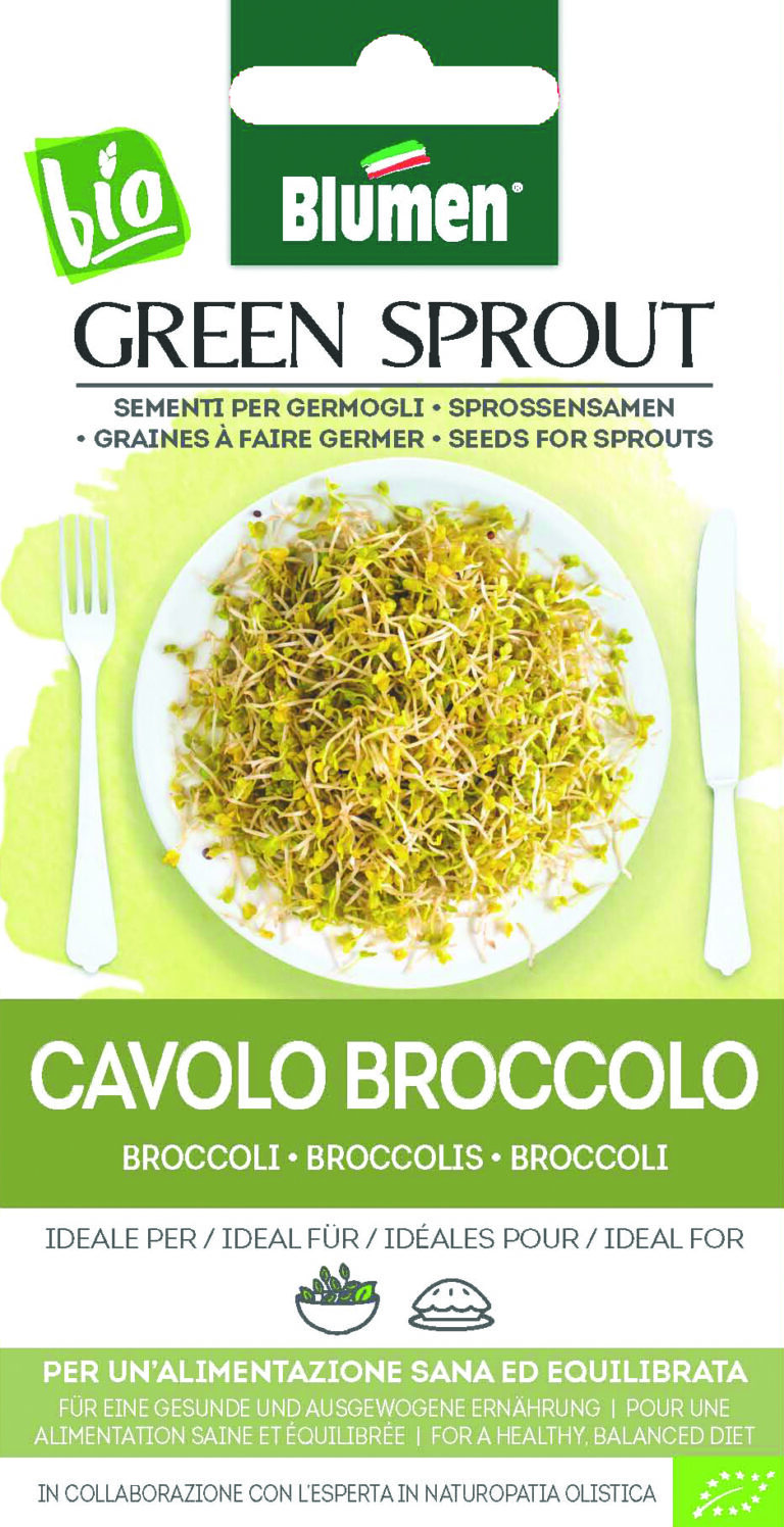 Φύτρες μπρόκολου – Green Sprout cavolo broccolo