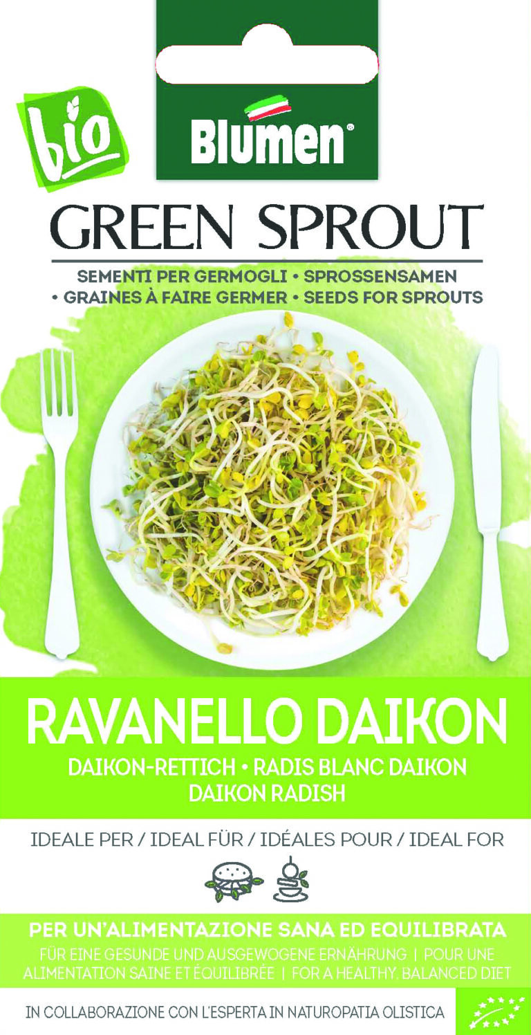 Φύτρες ραπανιού – Green Sprout Ravanello Daikon