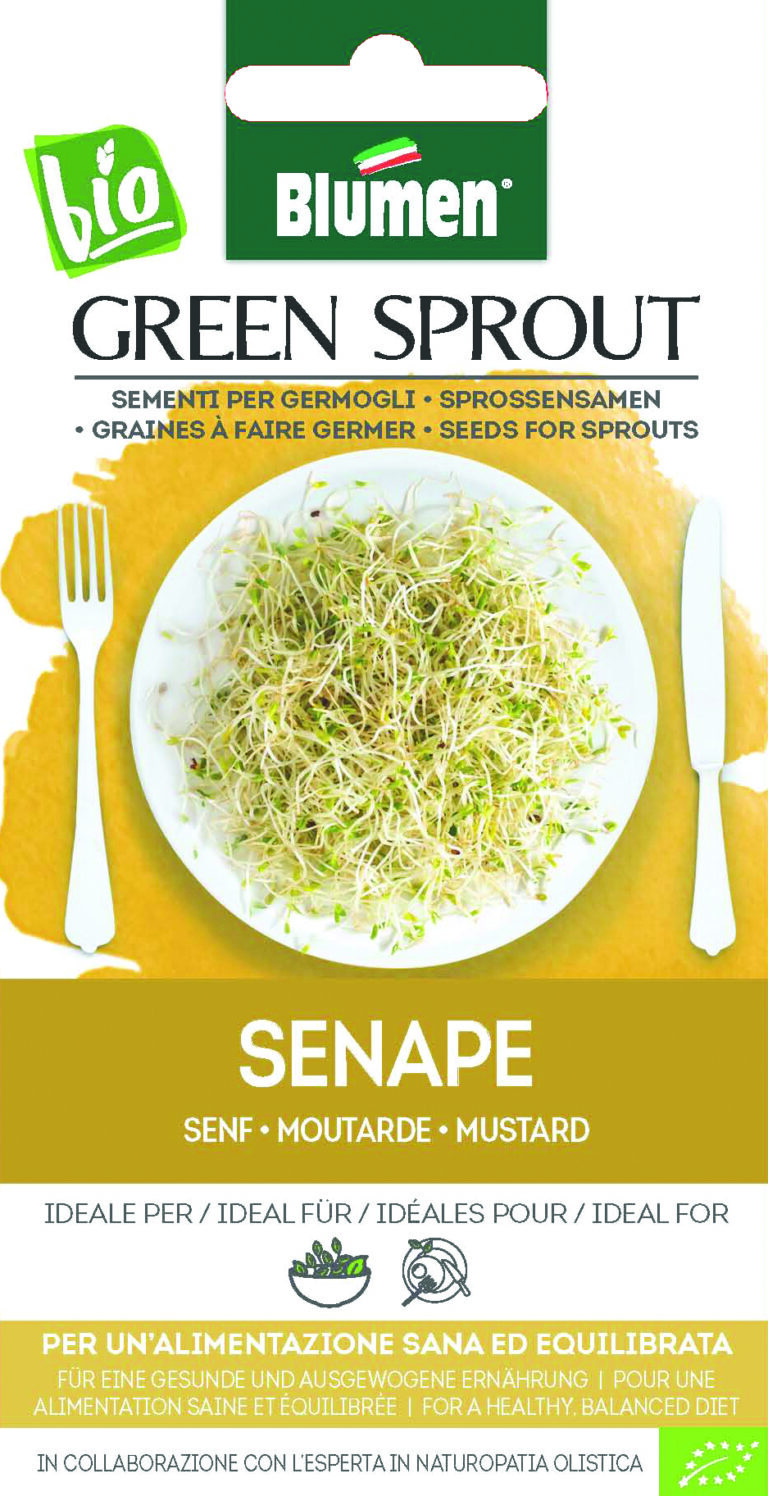 Φύτρες μουστάρδας – Green Sprout Senape