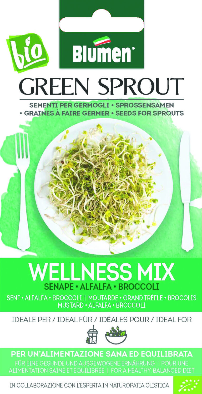 Φύτρες Wellness mix – Μουστάρδα, Alfalfa, Μπρόκολο