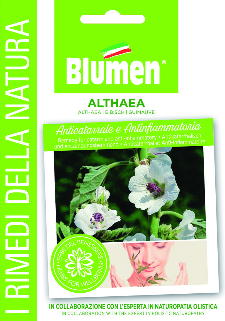 Althea – Αλθαία ή δεντρομολόχα