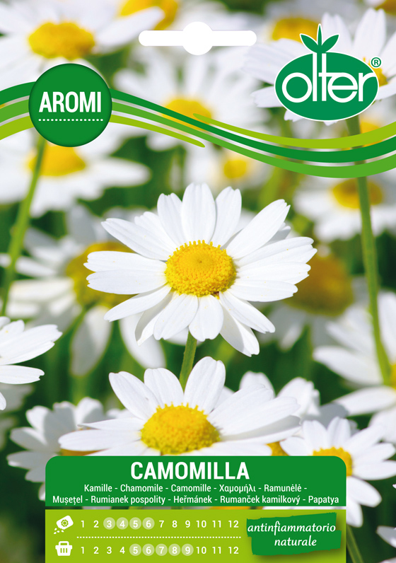 Χαμομήλι – Camomilla