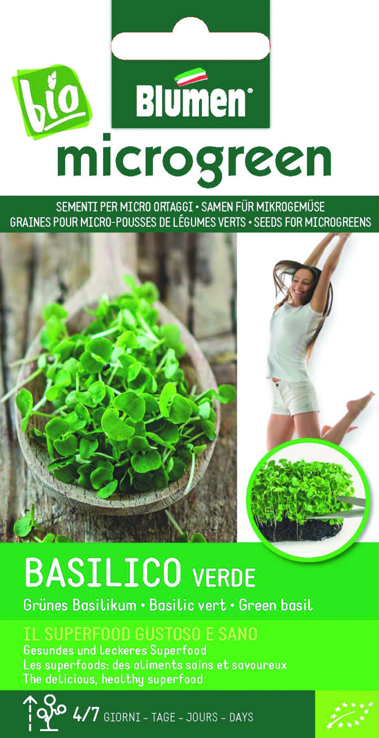 Βασιλικός πράσινος microgreens – Basilico verde